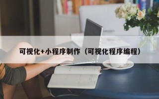 哈密可视化+小程序制作（可视化程序编程）